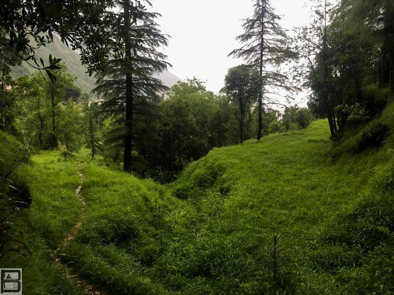 The Bunker - Mcleod Ganjホステル エクステリア 写真